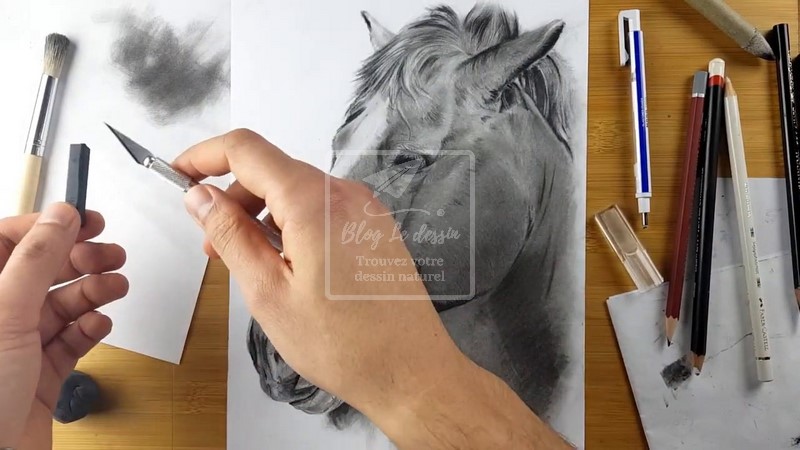 dessin cheval fusain